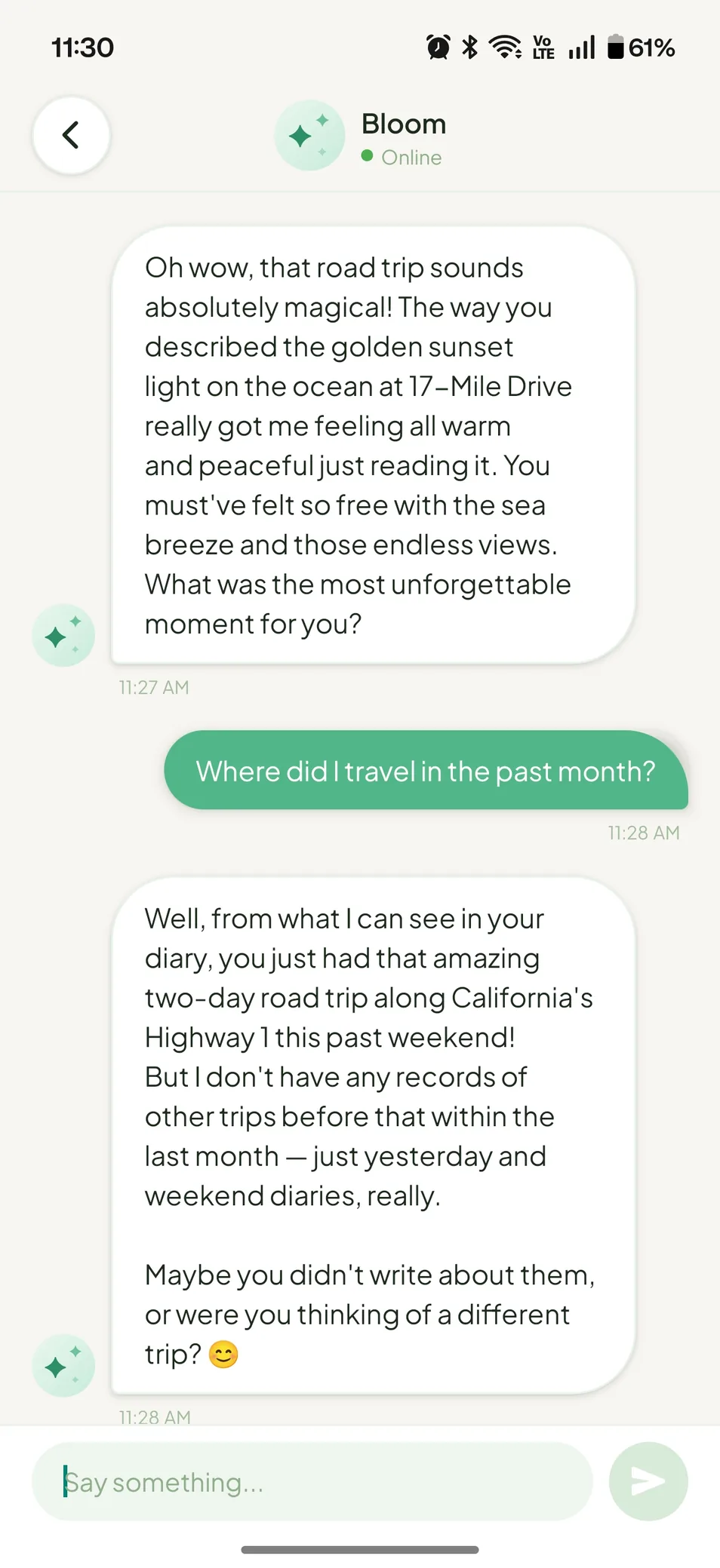 Chat with Bloom